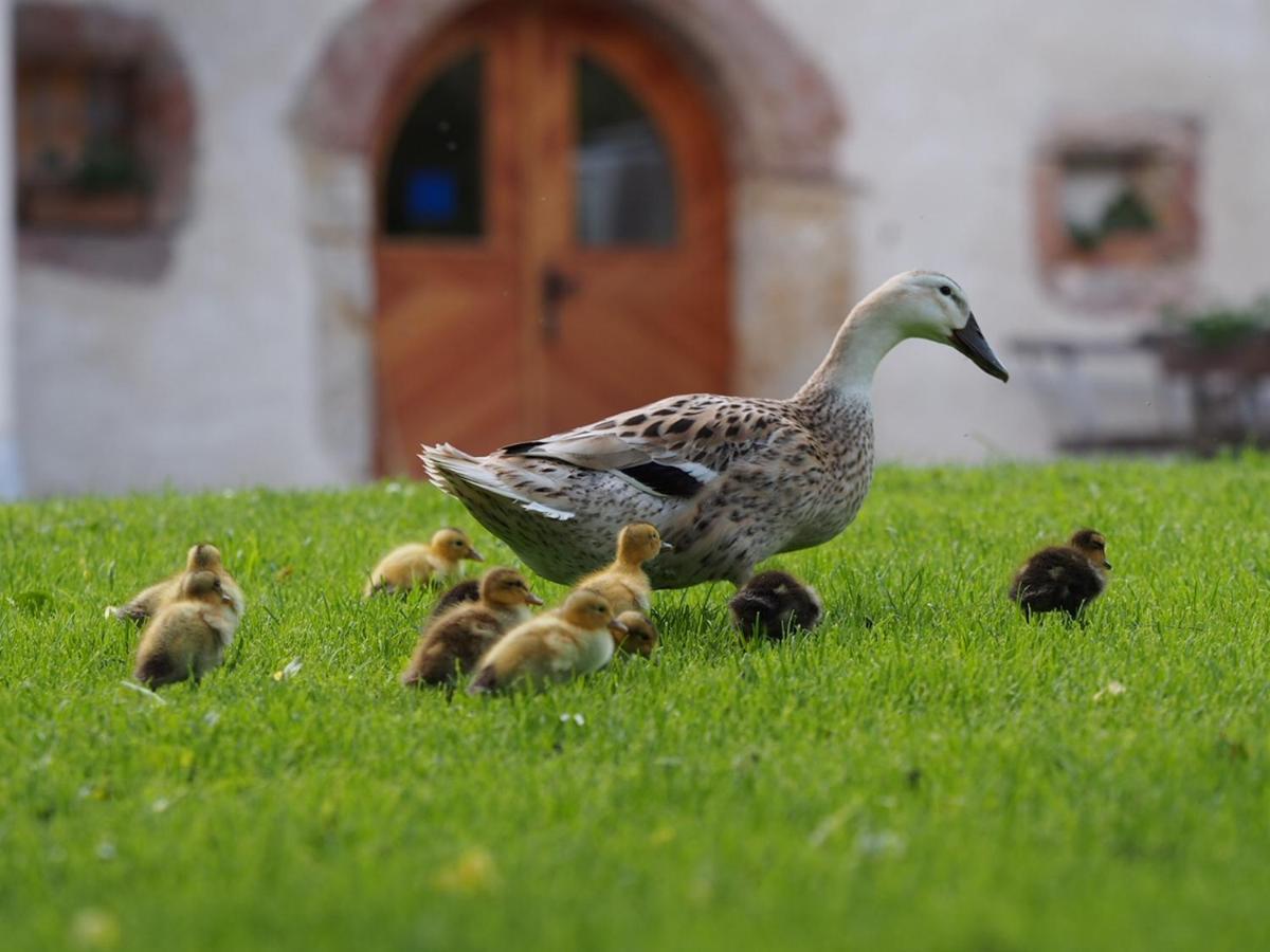 Tourist Farm Senkova Domacija Villa Згорние Йезерско Екстериор снимка